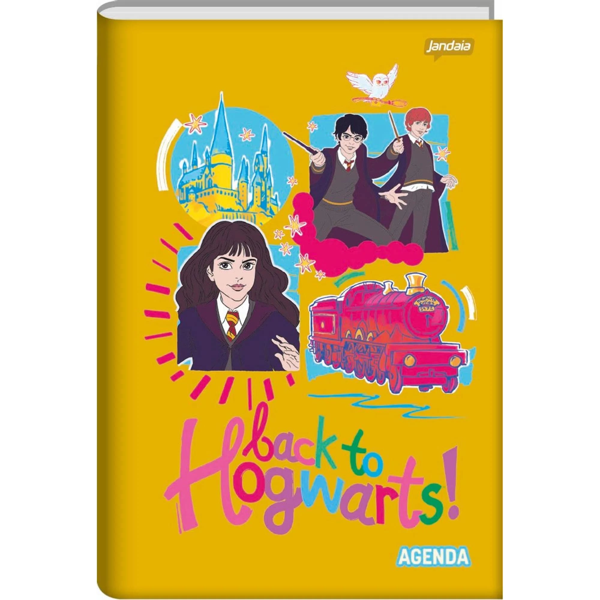 Caderno Brochura Jandaia Capa Dura Harry Potter 96 Folhas Sortido