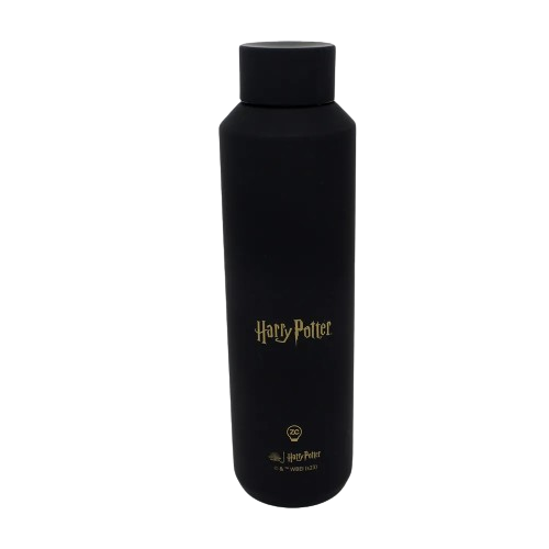 Garrafa ACQUA Hogwarts Harry Potter 600ml Aço inoxidável