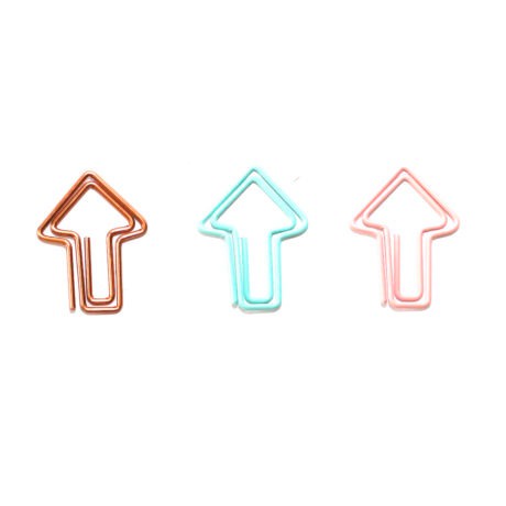 Clips Bee Unique Seta com 12 Unidades 23x30mm Cores Sortidos