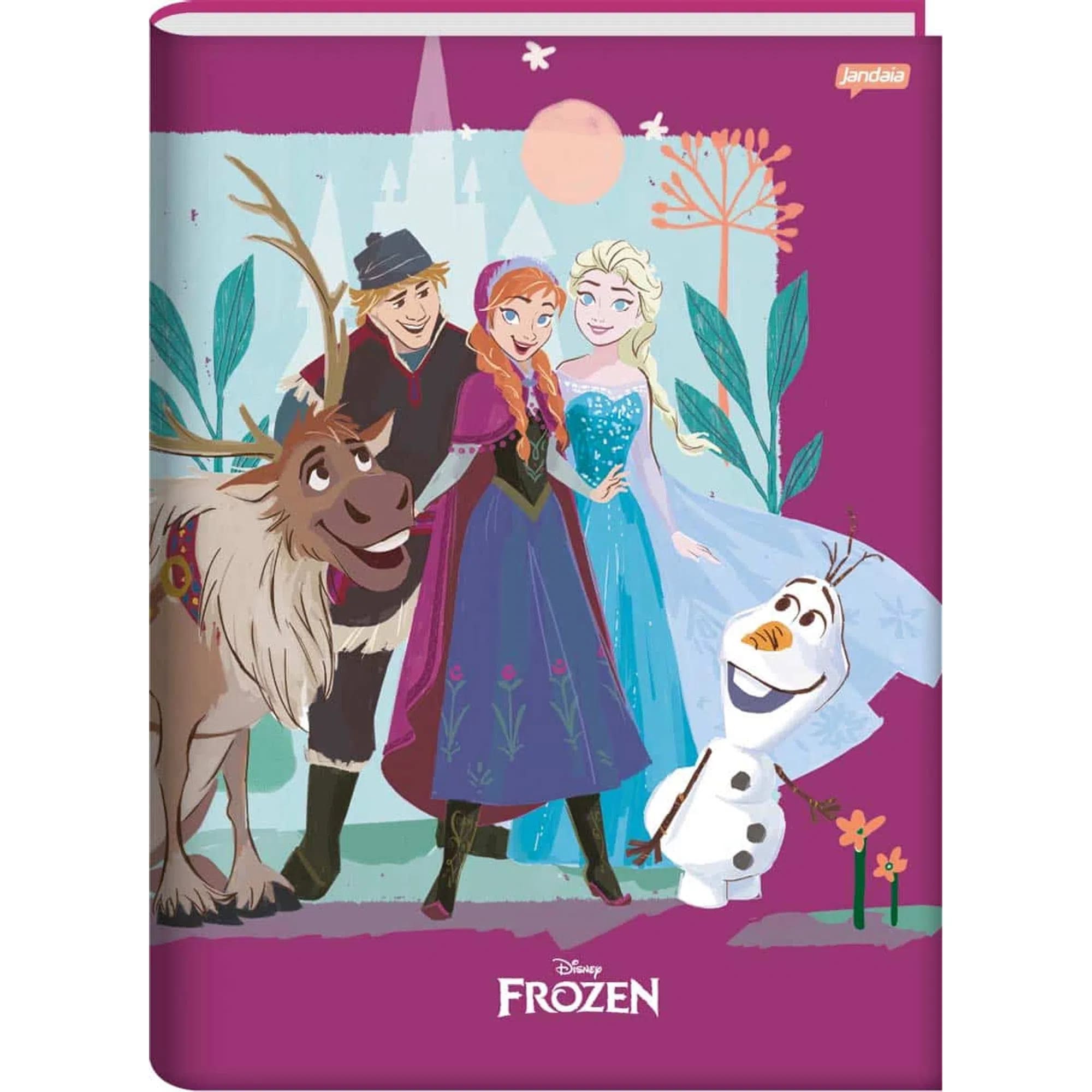 Caderno Brochura Jandaia Capa Dura Universitário Frozen 80 Folhas 1x1 Sortido