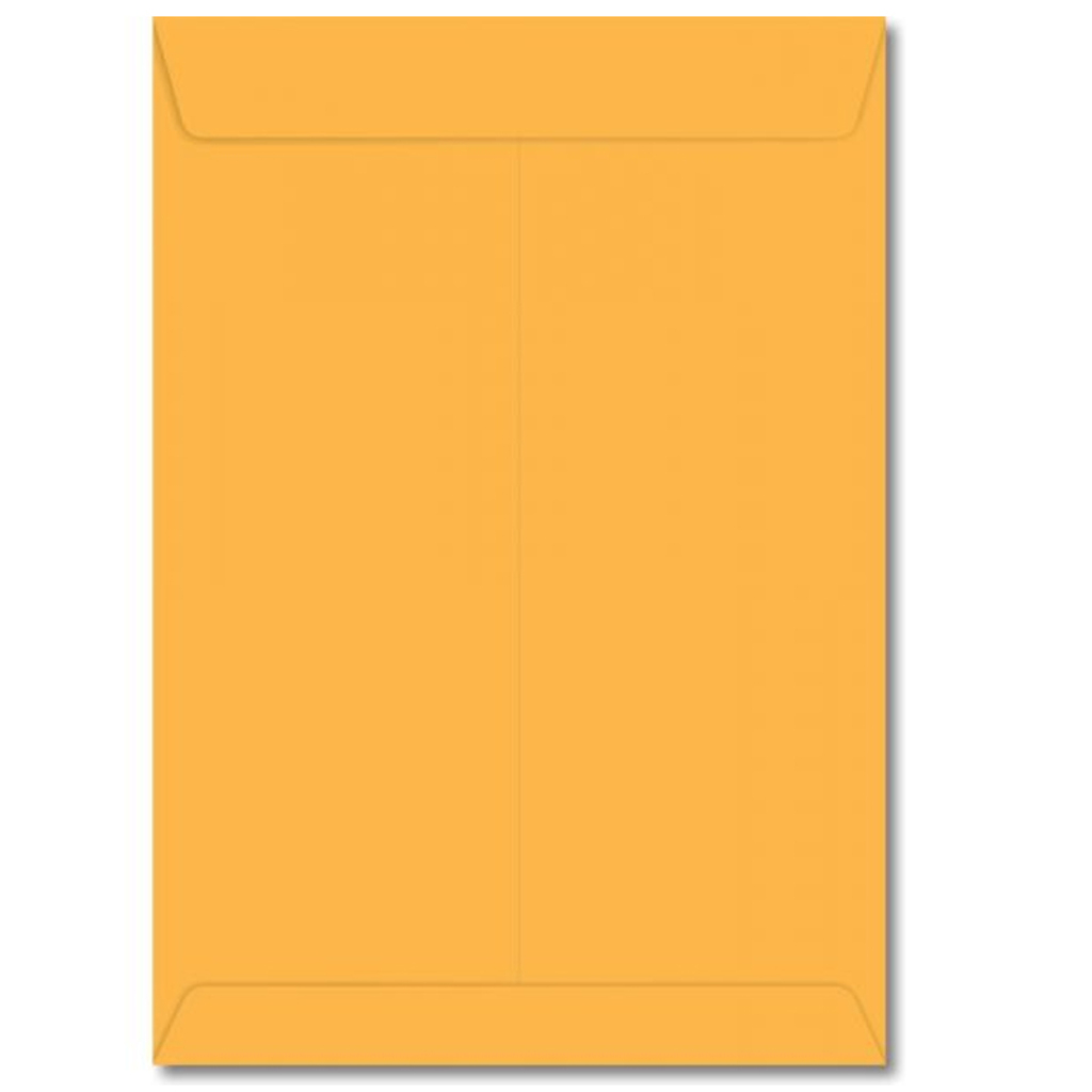 Envelope Kraft Ouro 240x340mm Foroni Caixa com 100 Unidades - 18.9855-7