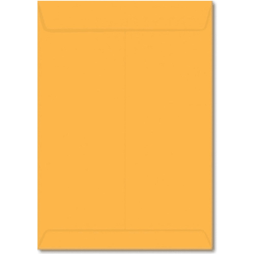 Envelope Kraft Ouro 240x340mm Foroni Pacote com 10 Unidades - 29.0159-4