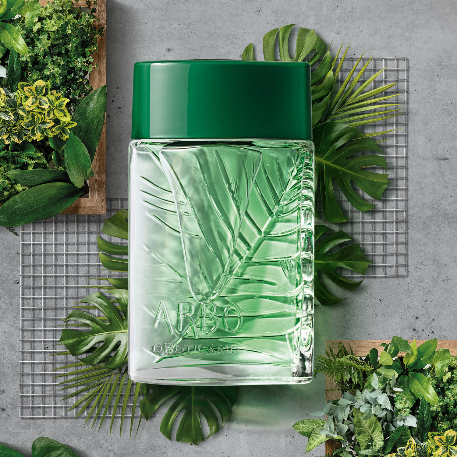 Arbo Botanic Desodorante Colônia 100ml