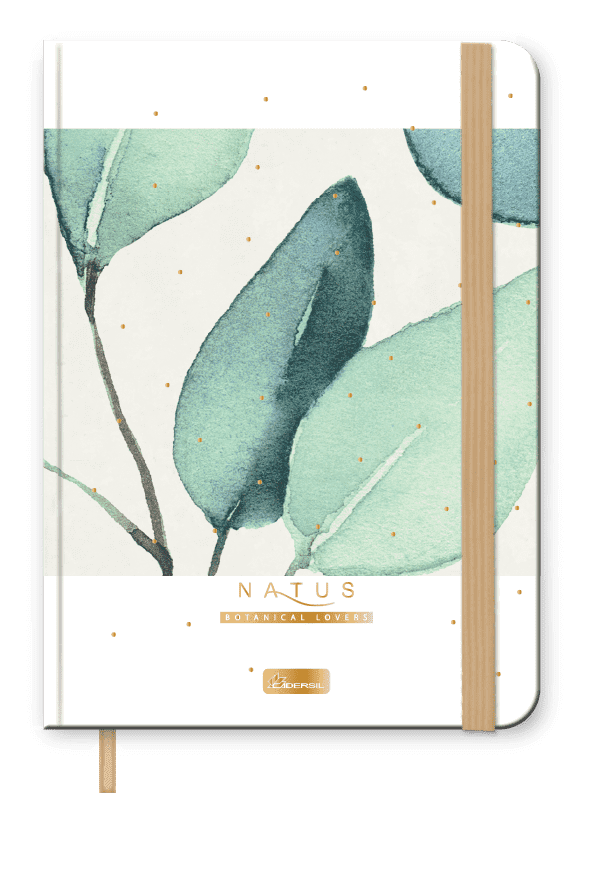 Caderneta Cadersil Natus Pequeno com Elástico 80 Folhas