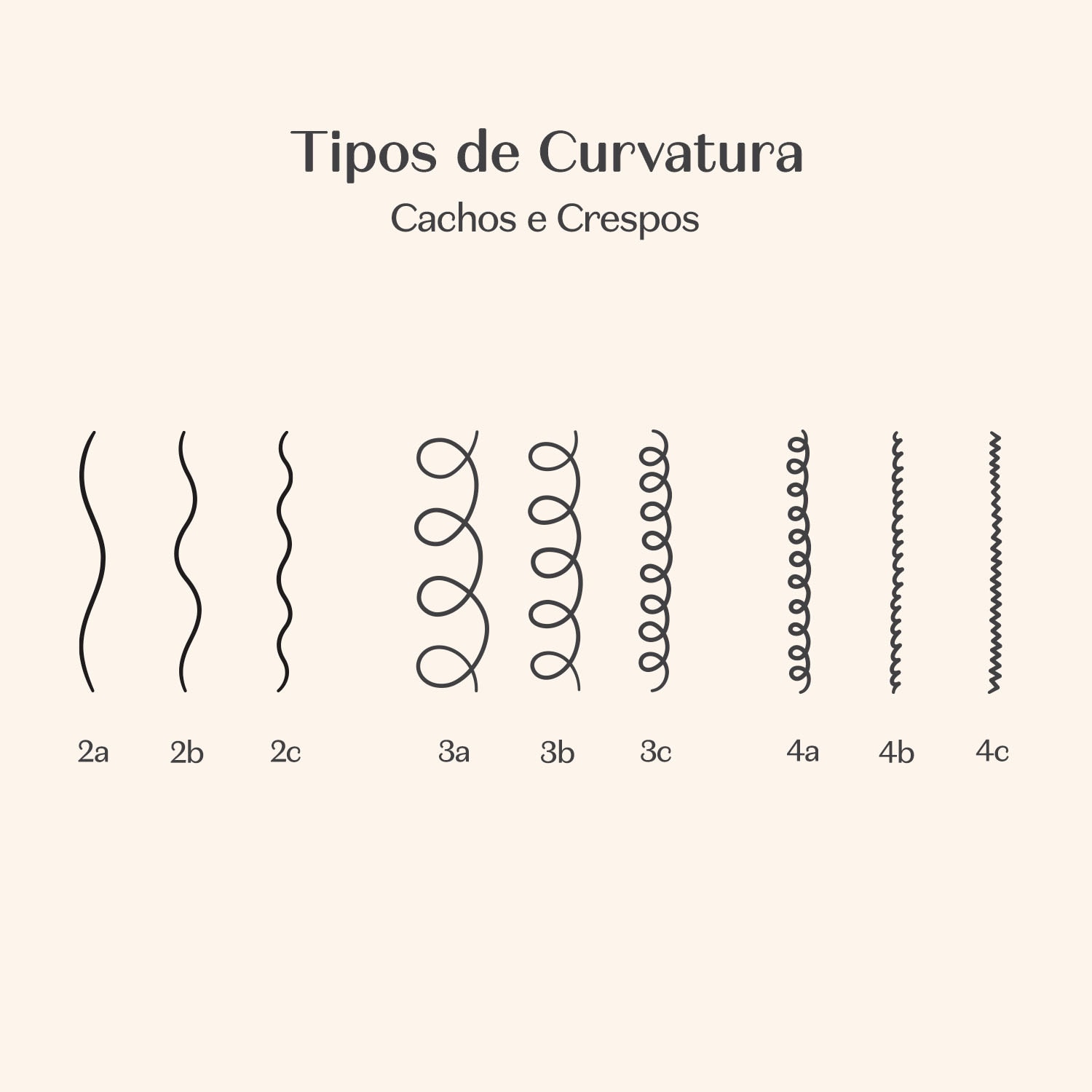Combo Match Ciência das Curvas: Shampoo 300ml + Sérum Revitalizador Para o Couro Cabeludo 50ml