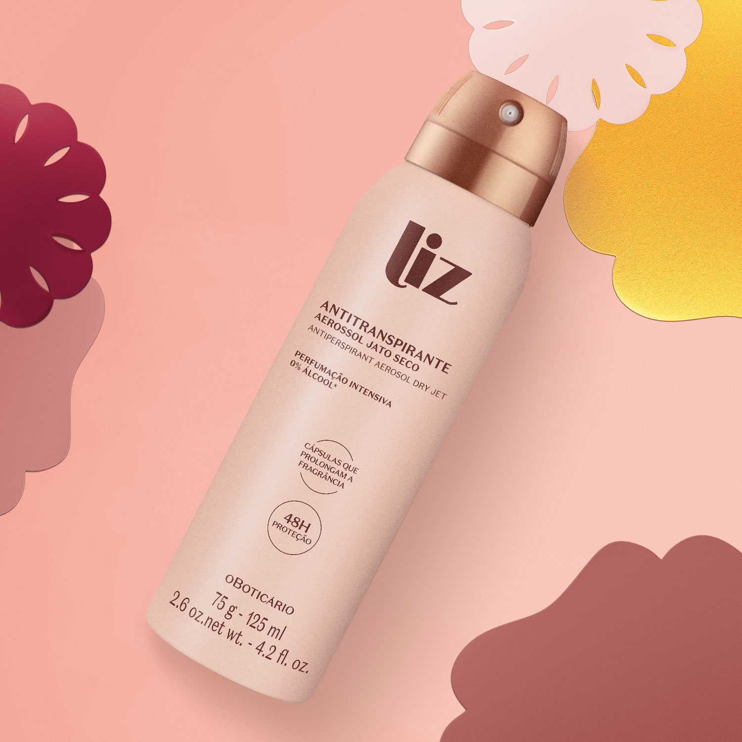 Desodorante Antitranspirante Aerossol Liz 75g/125ml