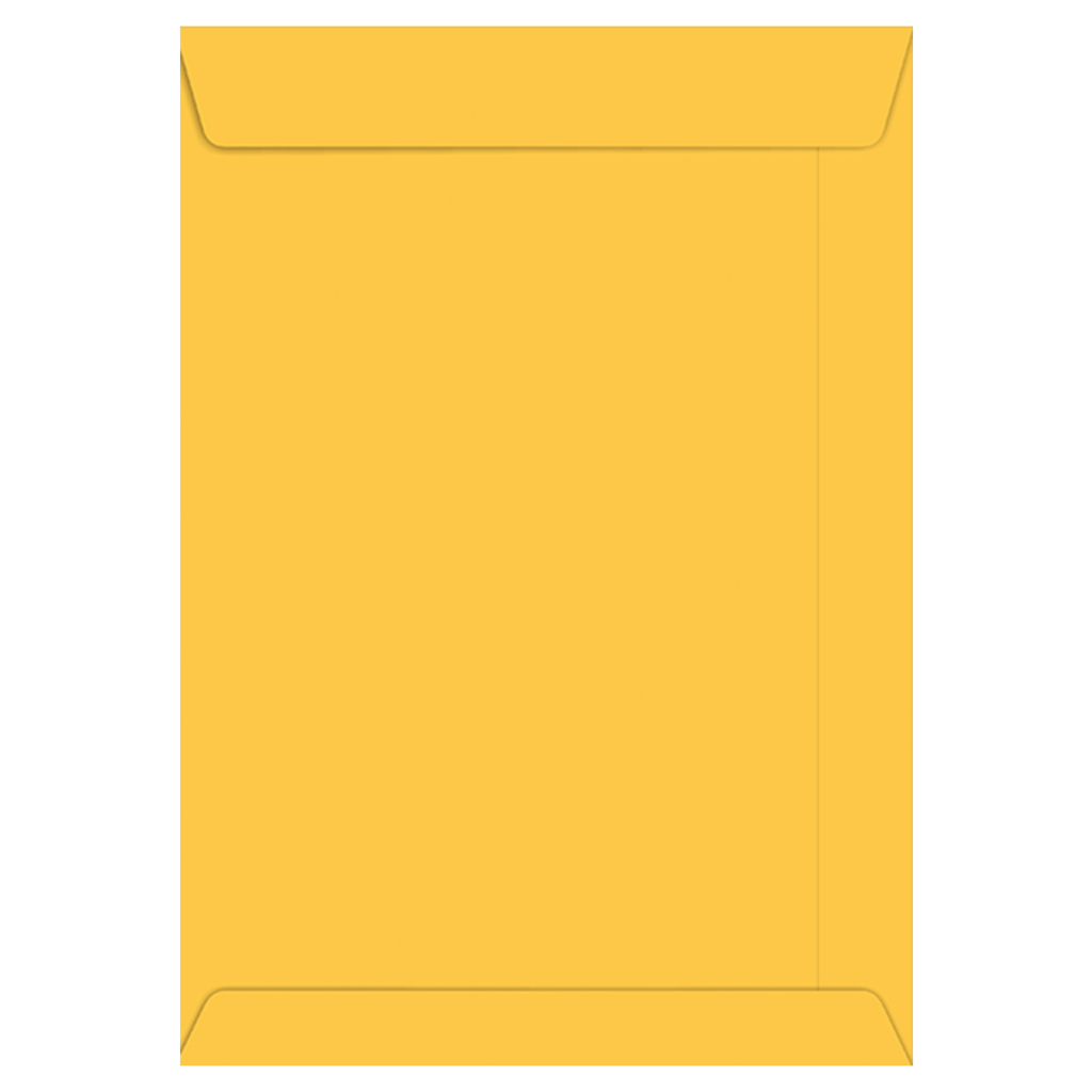 Envelope Kraft Ouro 240x340mm Foroni Caixa com 250 Unidades - 18.2734-0