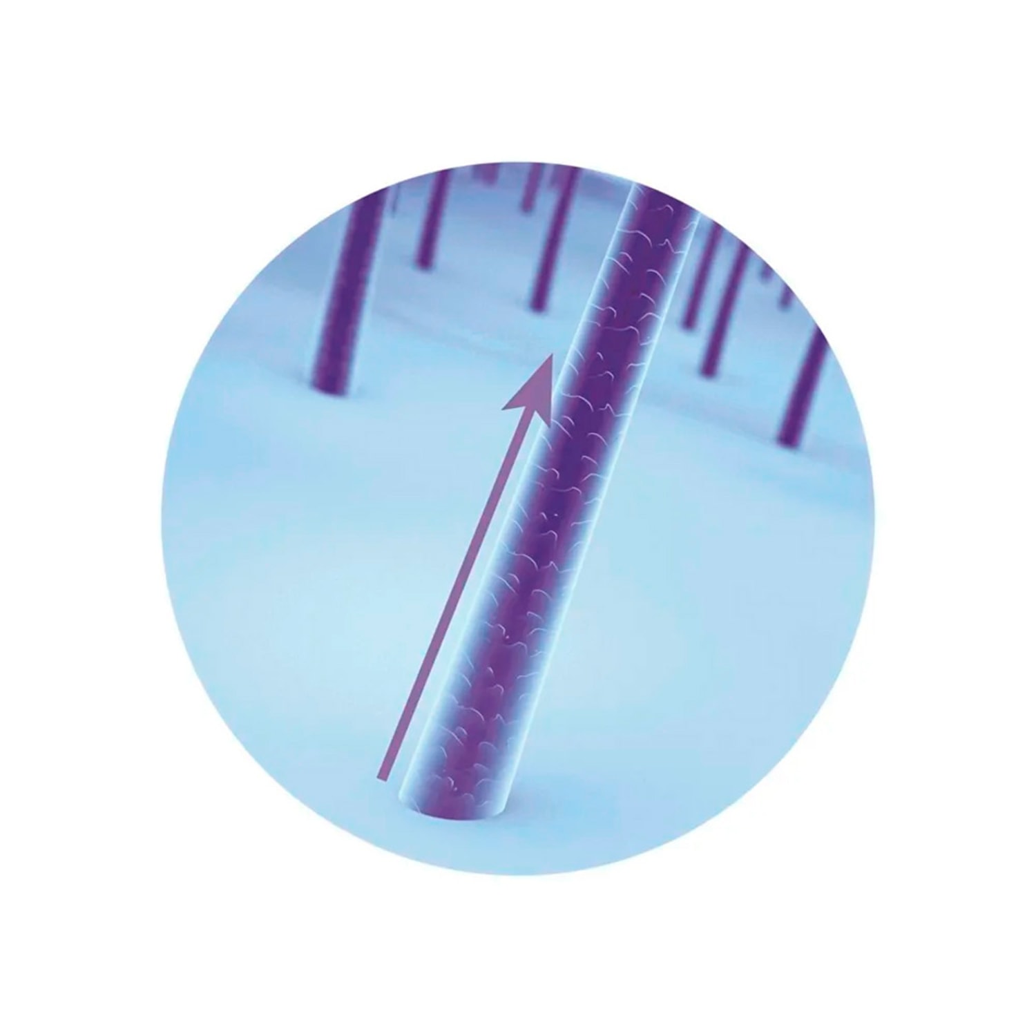 Condicionador Siàge Acelera O Crescimento 200ml