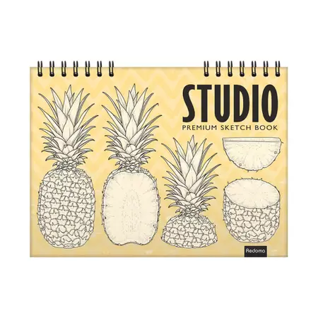 Caderno Redoma Colegial 50 Folhas Sketch Book Sortido