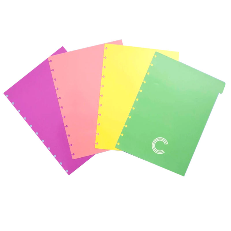 Divisória Caderno Inteligente Grande com Aba 4 Divisórias Pastel