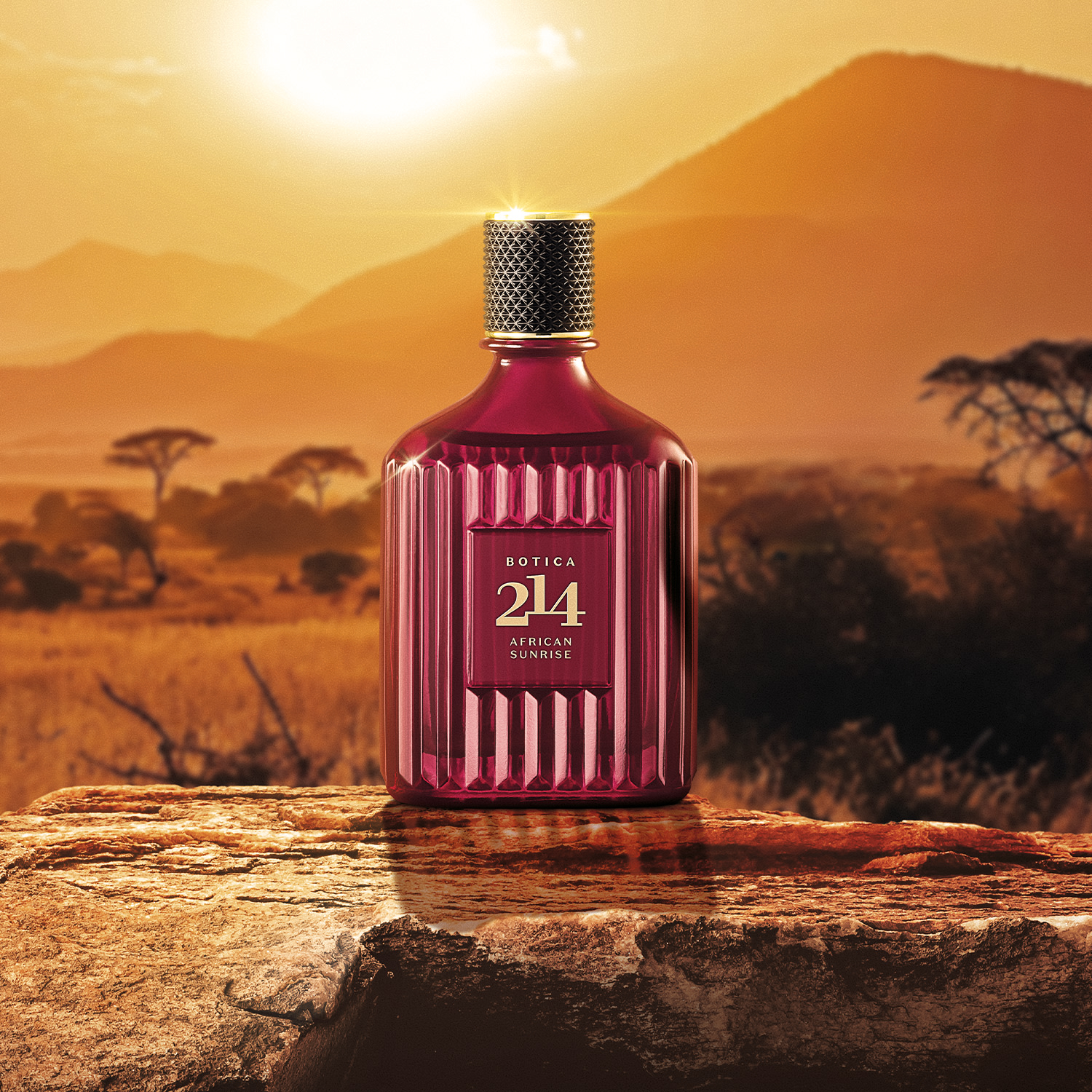 Botica 214 African Sunrise Fougére Amadeirado Eau De Parfum 90ml