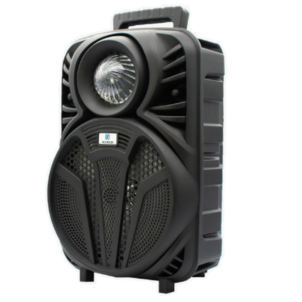 Caixa de Som Portátil Hoopson 100W Preto Bluetooth, USB, Auxiliar, Micro SD e FM - RBM-018