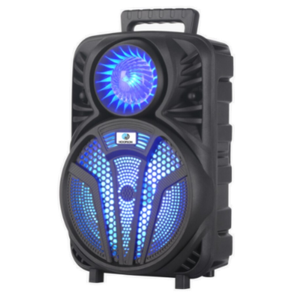 Caixa de Som Portátil Hoopson 100W Preto Bluetooth, USB, Auxiliar, Micro SD e FM - RBM-018