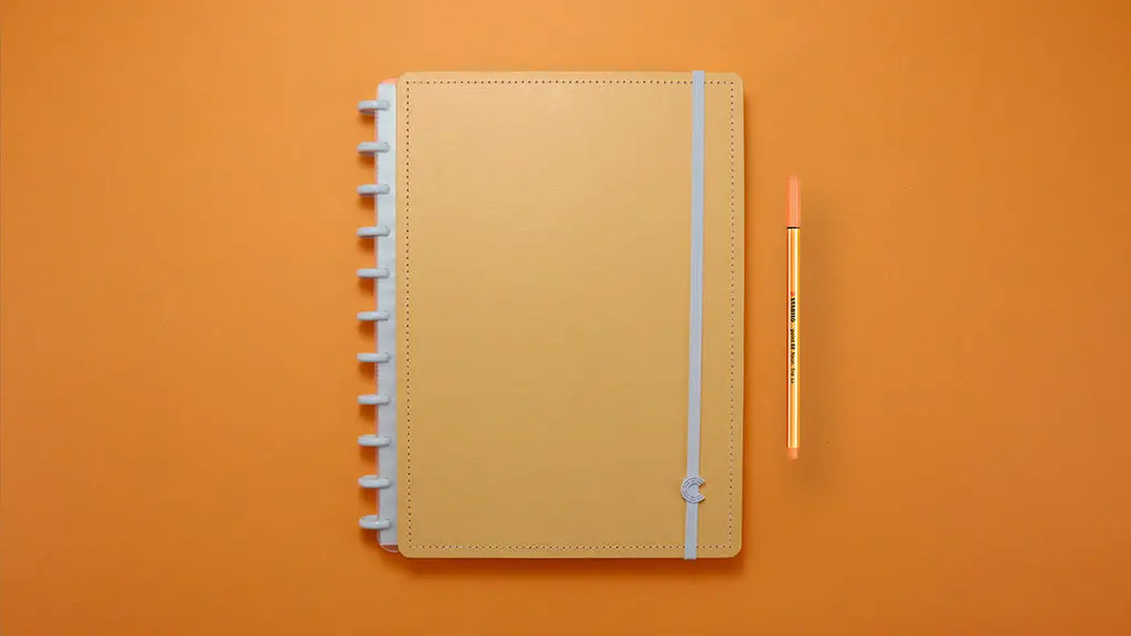 Caderno Inteligente Grande 60 Folhas com Pauta 20 Folhas Lisas Laranja Pastel