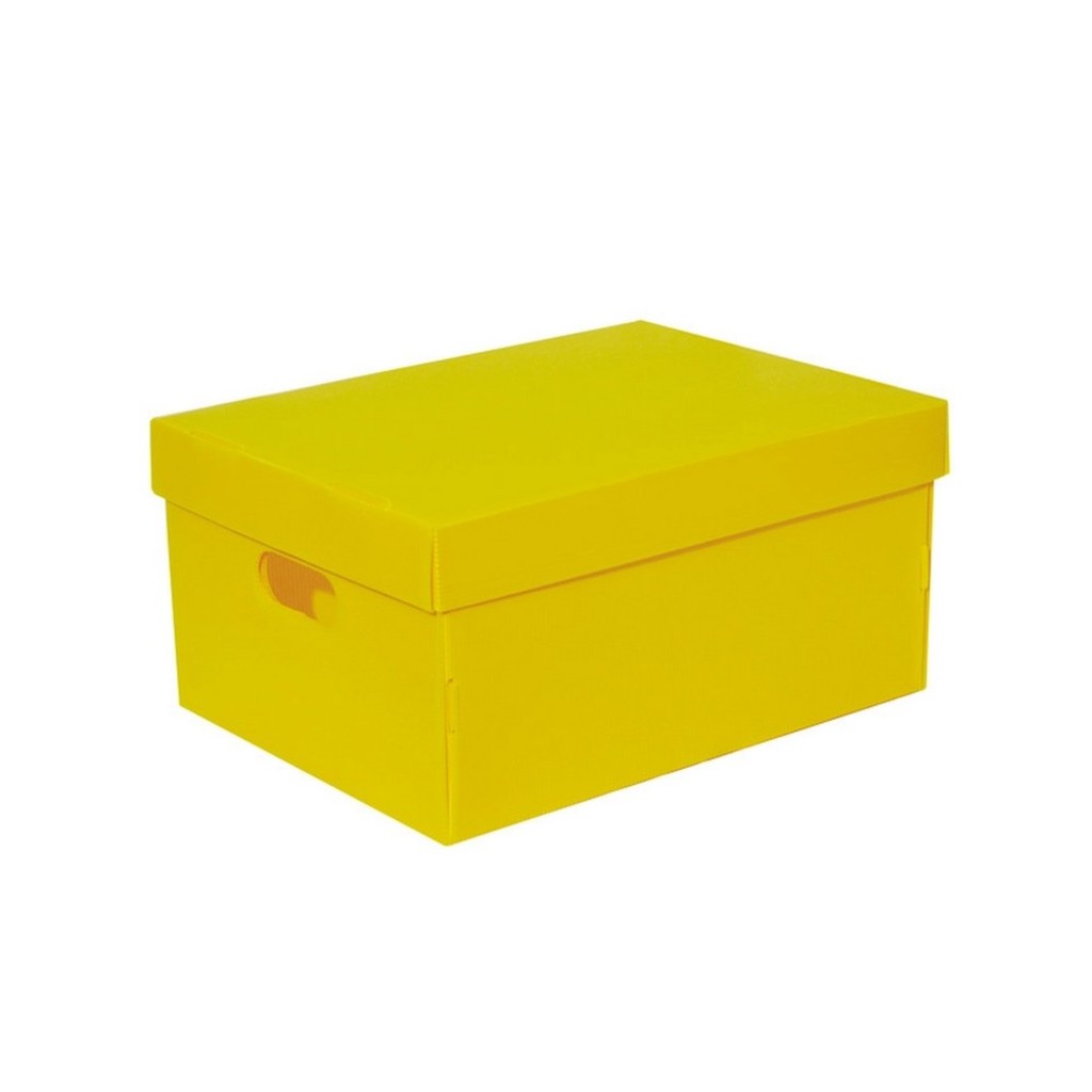 Caixa Organizadora Multiuso 300x180x120mm The Best Box Amarelo Plus - Polibras - 21706