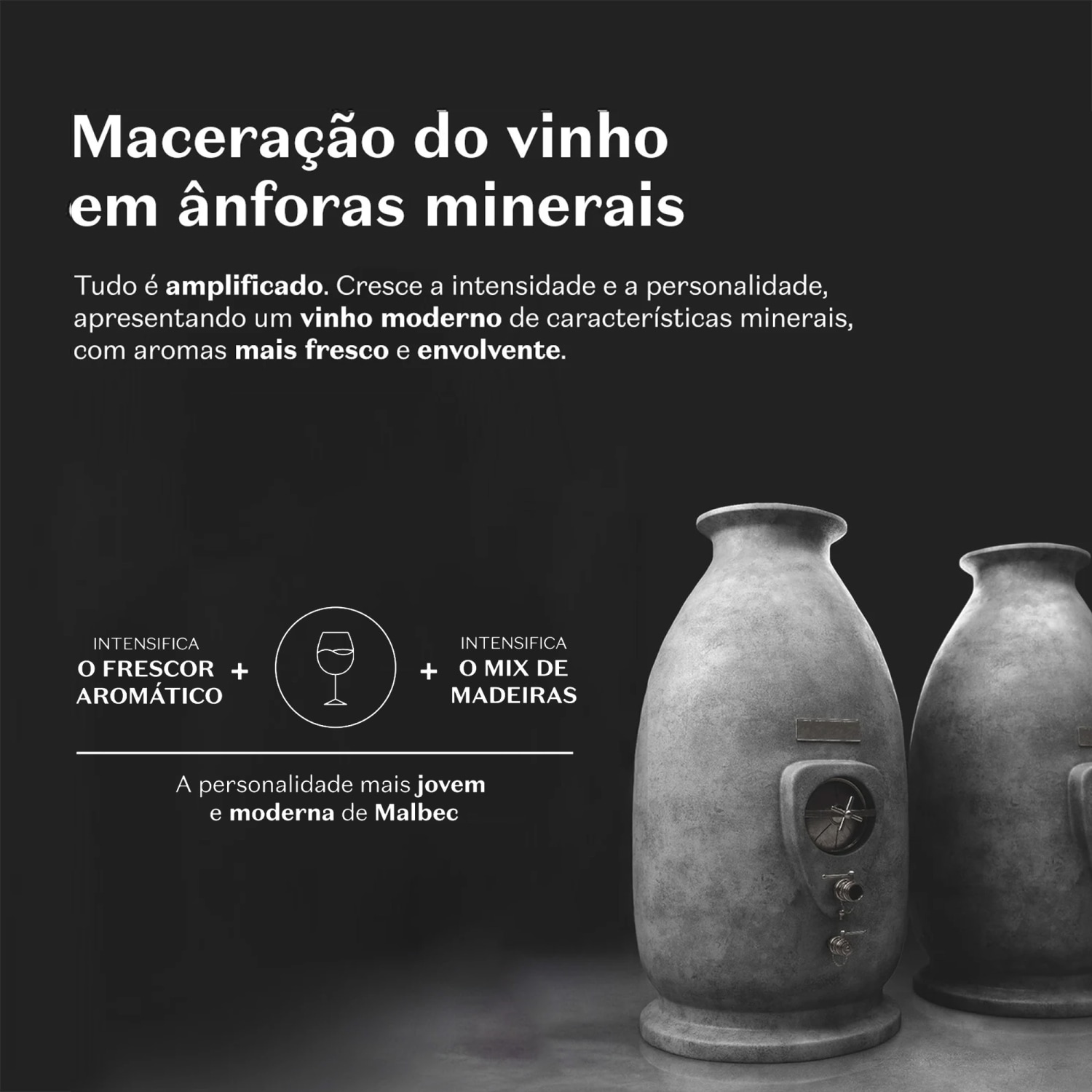 Malbec Icon Desodorante Colônia 100ml