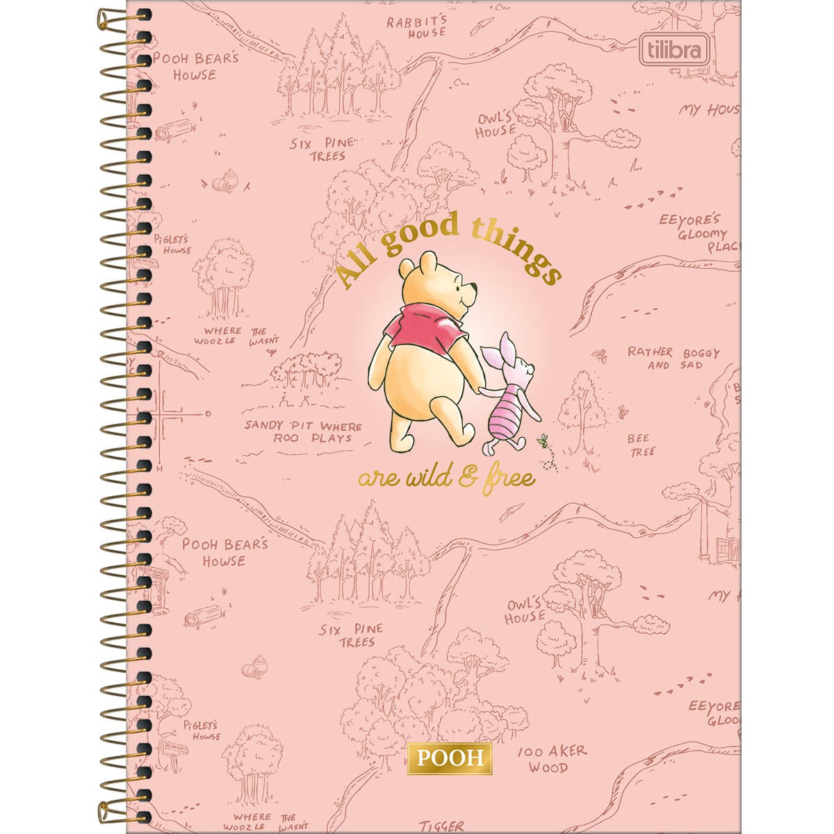 Caderno Universitário Tilibra Pooh 80 Folhas 1 Matéria Grande Sortido