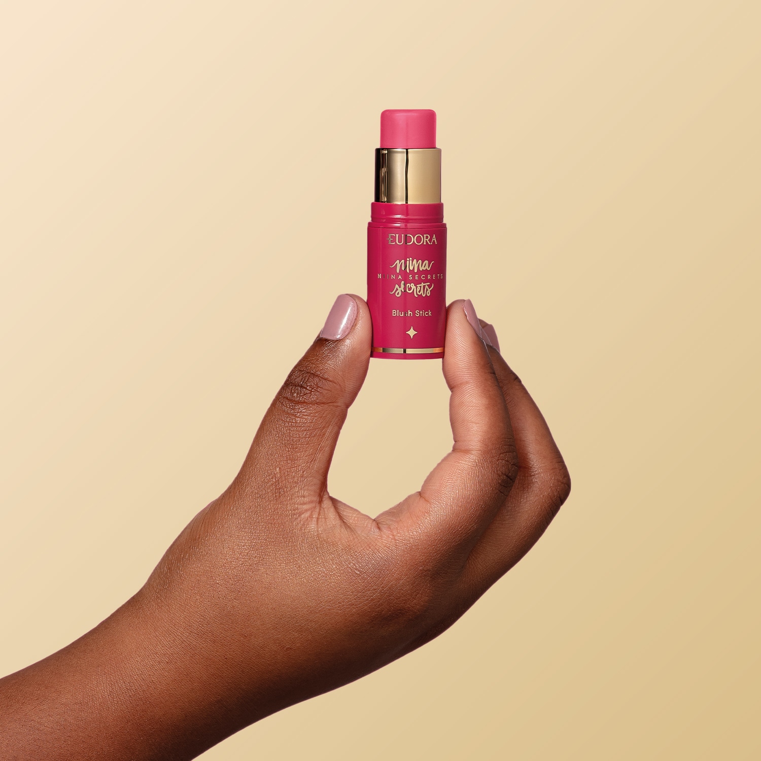 Blush Stick Daily Rosa Niina Secrets 5g